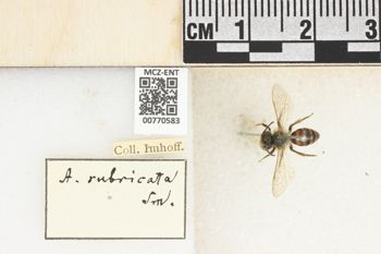 Media type: image;   Entomology 770583 Aspect: Labels